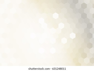 light monochrome color hexagon geometry background. vector illustration. polygonal pattern. design for banner, presentation, wallpaper.