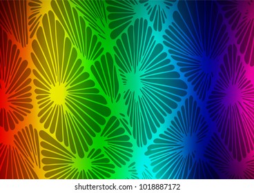 Light Multicolor, Rainbow vector abstract doodle background. Shining colored illustration with doodles in Zen tangle style. The pattern can be used for coloring books and pages for kids.