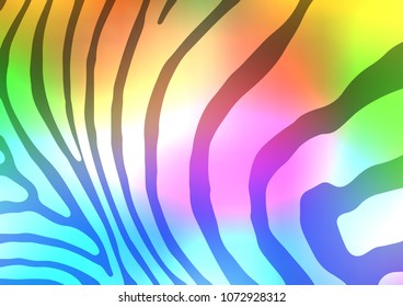 Light Multicolor, Rainbow vector abstract doodle texture. Glitter abstract illustration with doodles and Zen tangles. The best blurred design for your business.