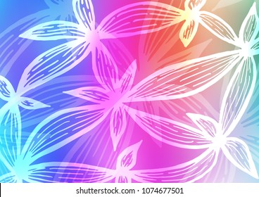 Light Multicolor, Rainbow vector abstract doodle template. Shining colored illustration with doodles in Zen tangle style. The elegant pattern can be used as a part of a brand book.