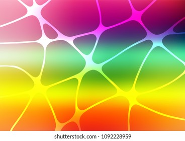 Light Multicolor, Rainbow vector abstract doodle background. Glitter abstract illustration with doodles and Zen tangles. The completely new template can be used for your brand book.