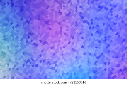 Light Multicolor, Rainbow vector abstract pattern with circles. Geometry template for your business design. Background with colored spheres.