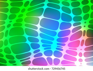 Light Multicolor, Rainbow vector abstract doodle pattern. Shining colored illustration with doodles in Zen tangle style. Brand-new style for your business design.