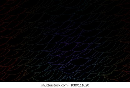 Light Multicolor, Rainbow vector  background with bubbles. Illustration with set of shining colorful abstract circles. The pattern can be used for ads, leaflets of liquid.
