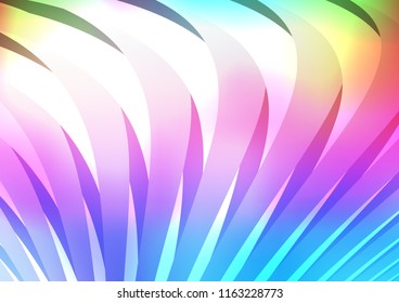 Light Multicolor, Rainbow vector background with straight lines. Shining colored illustration with narrow lines. The template can be used as a background.