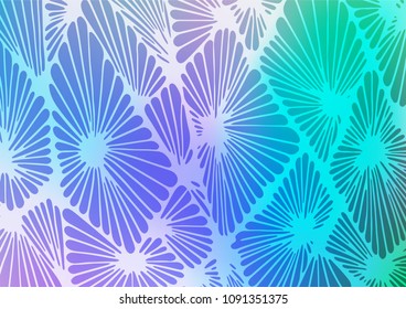 Light Multicolor, Rainbow vector doodle blurred texture. Colorful illustration in abstract style with doodles and Zen tangles. The template can be used as a background for cell phones.