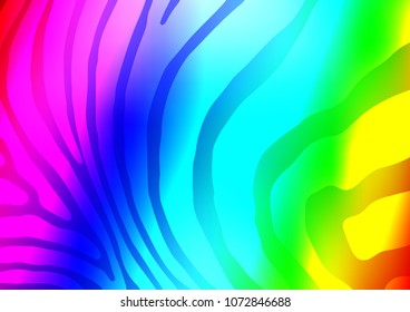 Light Multicolor, Rainbow vector indian curved pattern. Modern geometrical abstract illustration with doodles. The best blurred design for your business.