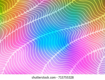 Light Multicolor, Rainbow vector indian curved pattern. Glitter abstract illustration with doodles and zentagles. The elegant pattern can be used as a part of a brand book.