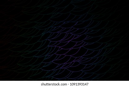 Light Multicolor, Rainbow vector  layout with circle shapes. Beautiful colored illustration with blurred circles in nature style. The pattern can be used for ads, leaflets of liquid.