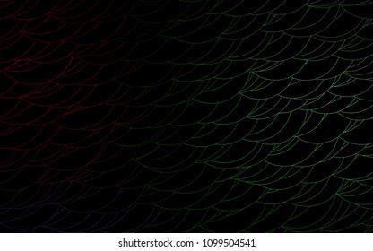 Light Multicolor, Rainbow vector  layout with circle shapes. Beautiful colored illustration with blurred circles in nature style. Completely new template for your brand book.