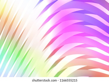 Light Multicolor, Rainbow vector layout with flat lines. Shining colored illustration with narrow lines. The pattern can be used for websites.