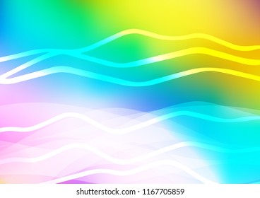 Light Multicolor, Rainbow vector layout with flat lines. Decorative shining illustration with lines on abstract template. The template can be used as a background.