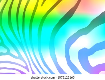 Light Multicolor, Rainbow vector natural abstract texture. Colorful abstract illustration with lines in Asian style. A completely new template for your business design.