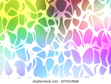 Light Multicolor, Rainbow vector natural elegant template. A vague abstract illustration with doodles in Indian style. The textured pattern can be used for website.