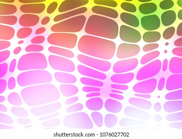 Light Multicolor, Rainbow vector natural abstract template. Modern geometrical abstract illustration with doodles. The best blurred design for your business.
