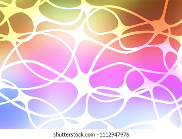 Light Multicolor, Rainbow vector natural elegant pattern. Sketchy hand drawn doodles on blurred background. The pattern can be used for wallpapers and coloring books.