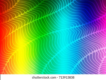Light Multicolor, Rainbow vector natural elegant pattern. Colorful illustration in abstract style with doodles. The pattern can be used for wallpapers and coloring books.