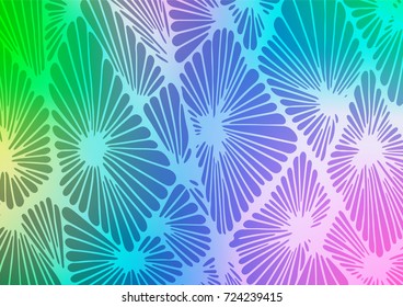 Light Multicolor, Rainbow vector natural elegant texture. Doodles on blurred abstract background with gradient. A new texture for your design.