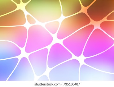Light Multicolor, Rainbow vector natural elegant background. Colorful abstract illustration with lines in Asian style. Hand painted design for web, wrapping, wallpaper.