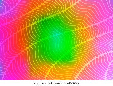 Light Multicolor, Rainbow vector natural abstract background. Glitter abstract illustration with doodles and Zen tangles. The elegant pattern can be used as a part of a brand book.