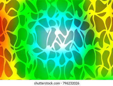 Light Multicolor, Rainbow vector natural abstract background. Ethnic elegant natural pattern with gradient. The textured pattern can be used for website.