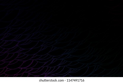 Light Multicolor, Rainbow vector  pattern with spheres. Illustration with set of shining colorful abstract circles. Beautiful design for your business natural advert.