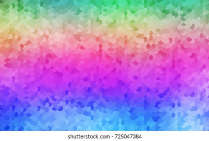 Light Multicolor, Rainbow vector red banner with set of circles, dots. Donuts Background. Creative Design Template. Technological halftone illustration.