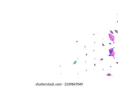 Light Multicolor, Rainbow vector sketch cover. Brand new colorful illustration in modern style with leaves. A new texture for your design.