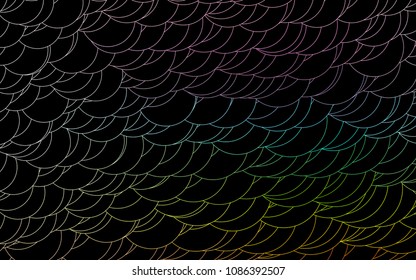 Light Multicolor, Rainbow vector  template with circles. Illustration with set of shining colorful abstract circles. Completely new template for your brand book.