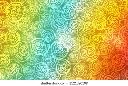 Light Multicolor vector abstract doodle wallpaper. Roses on blurred abstract background with gradient. Hand painted design for web, wrapping, wallpaper.
