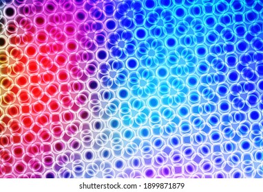 Light Multicolor vector background with spots. Illustration with set of shining colorful abstract circles. Design for your business advert.