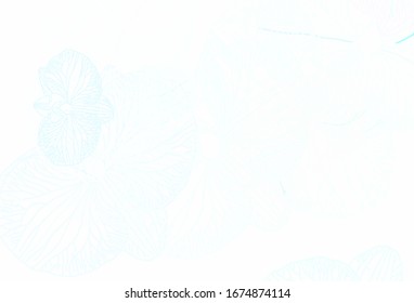 Light Multicolor vector doodle backdrop with flowers. Illustration with colorful abstract doodle flowers. Brand new design for your business.