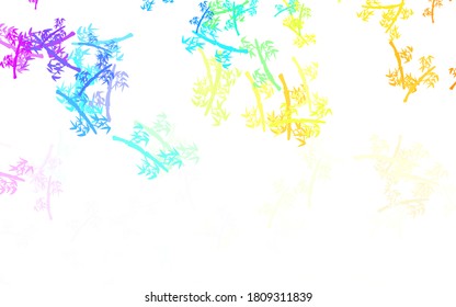 Light Multicolor vector doodle pattern with branches. Modern abstract illustration with leaves and branches. Pattern for heads of websites, designs.