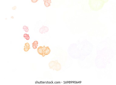 Light Multicolor vector natural pattern with flowers. Glitter abstract illustration with flowers. Pattern for heads of websites, designs.