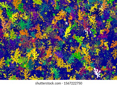 Light Multicolor vector template with chaotic shapes. Illustration with colorful gradient shapes in abstract style. Modern design for your business card.