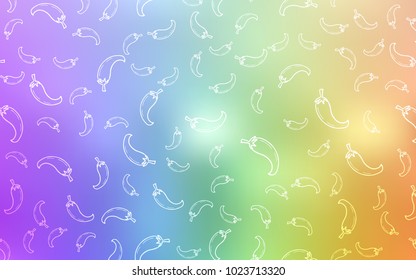 Light Multicolor vector template with organic peppers. Illustration with set of fresh peppers in doodle style. Template for meal cooking in kitchen.