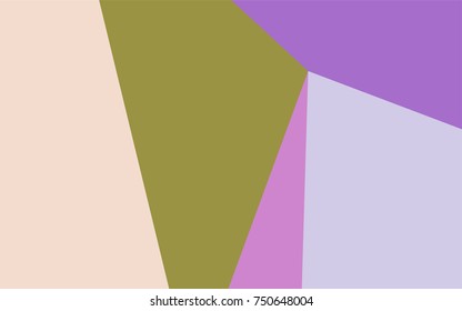 Light Multicolor vector triangle mosaic template. Colorful illustration in abstract style with gradient. A completely new template for your business design.