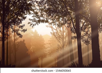 Light from a natural forest Jungle green mountains horizon trees Landscape wallpaper Sunrise and sunset  Illustration vector style Colorful view background