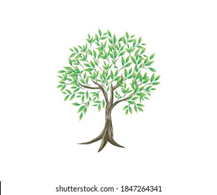 light olive tree with thin branches, tree vector image for design element.