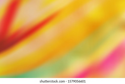 Light Orange vector abstract bright template. Abstract colorful illustration with gradient. Background for designs.