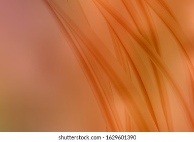 Light Orange vector abstract bright pattern. A completely new colored illustration in blur style. Background for a cell phone.