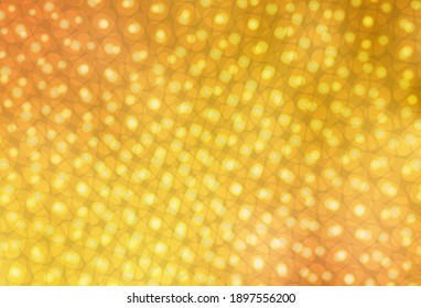 Light Orange vector backdrop with dots. Illustration with set of shining colorful abstract circles. Design for poster, banner of websites.
