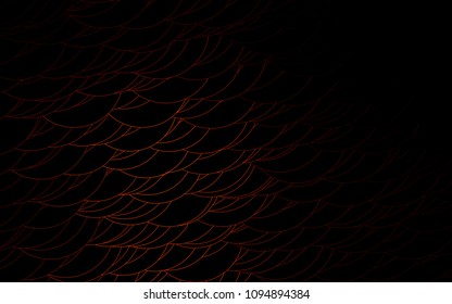 Light Orange vector  background with bubbles. Modern abstract illustration with colorful water drops. New design for ad, poster, banner of your website.