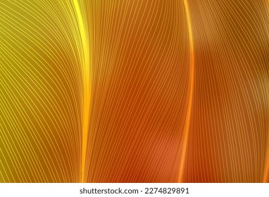 Fondo vectorial de naranja claro con líneas curvas. Ilustración abstracta circunfleja con gradiente. Patrón elegante para un libro de marca.