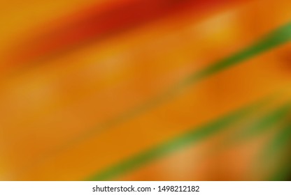 Light Orange vector background with stright stripes. Colorful shining illustration with lines on abstract template. Best design for your ad, poster, banner.