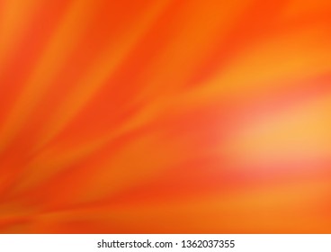 Light Orange vector blurred bright background. Creative illustration in halftone style with gradient. The template can be used for your brand book.
