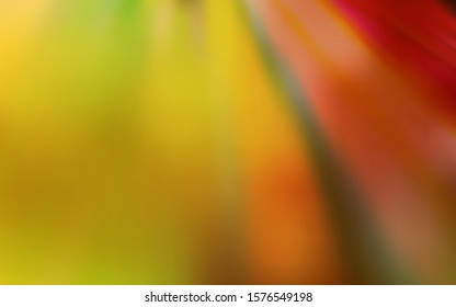 Light Orange vector blurred shine abstract template. Shining colored illustration in smart style. Elegant background for a brand book.