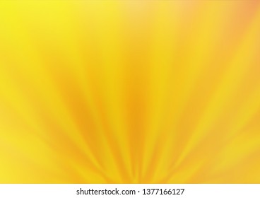Light Orange vector bokeh and colorful pattern. An elegant bright illustration with gradient. The background for your creative designs.