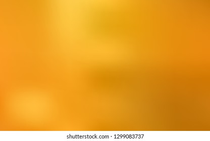 Light Orange vector colorful abstract background. New colored illustration in blur style with gradient. The best blurred design for your business.