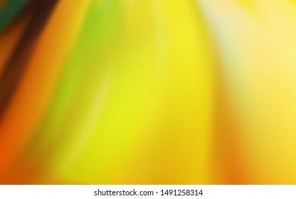 Light Orange vector colorful blur backdrop. Modern abstract illustration with gradient. Background for designs.